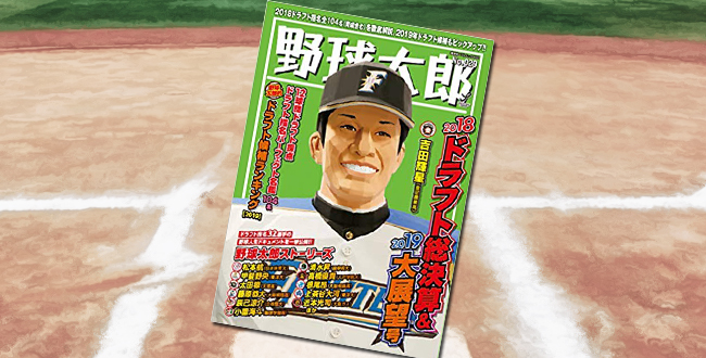 「野球太郎 No.029 2018ドラフト総決算&2019大展望号」