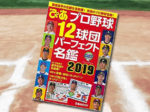 「プロ野球12球団パーフェクト名鑑2019」