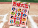 「野球太郎 No.030 プロ野球選手名鑑+ドラフト候補選手名鑑2019」