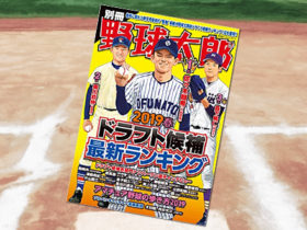 「別冊野球太郎 2019春 ドラフト候補最新ランキング」